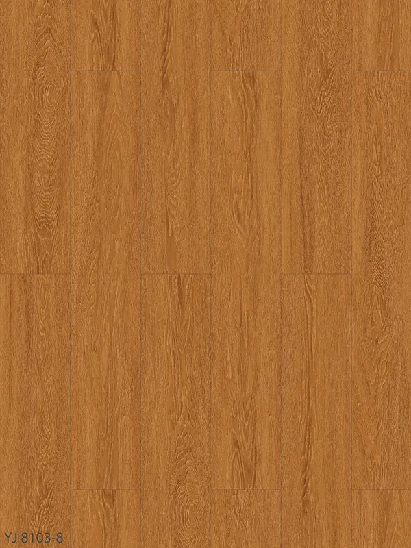 P8103-8
