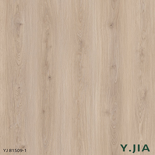 YJ81509-1