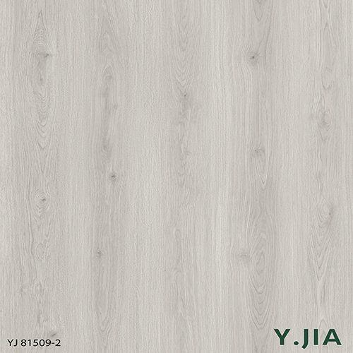 YJ81509-2
