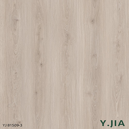 YJ81509-3