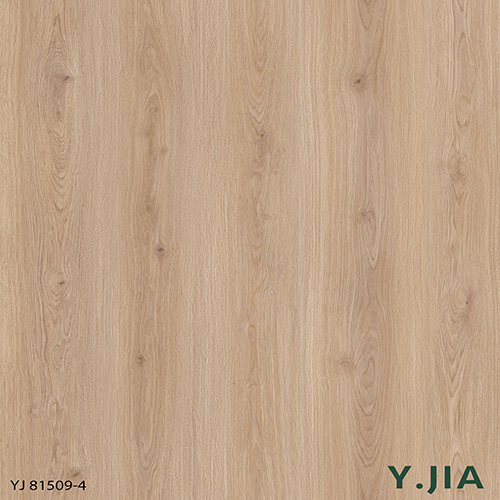 YJ81509-4
