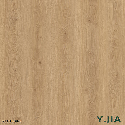 YJ81509-5
