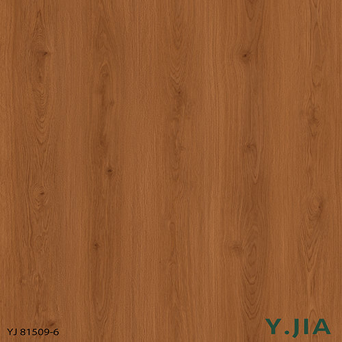 YJ81509-6